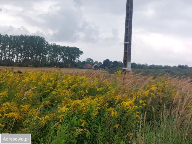Działka budowlana Bieczyno. Zdjęcie 1
