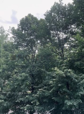 Mieszkanie 1-pokojowe Warszawa Wola, ul. Krochmalna. Zdjęcie 8