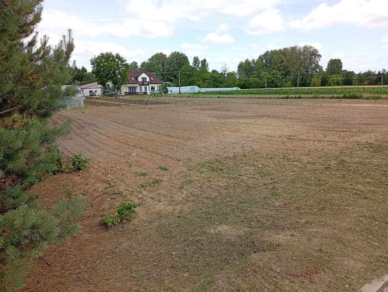 Działka budowlana Czyżew, ul. Apoznańskich. Zdjęcie 6