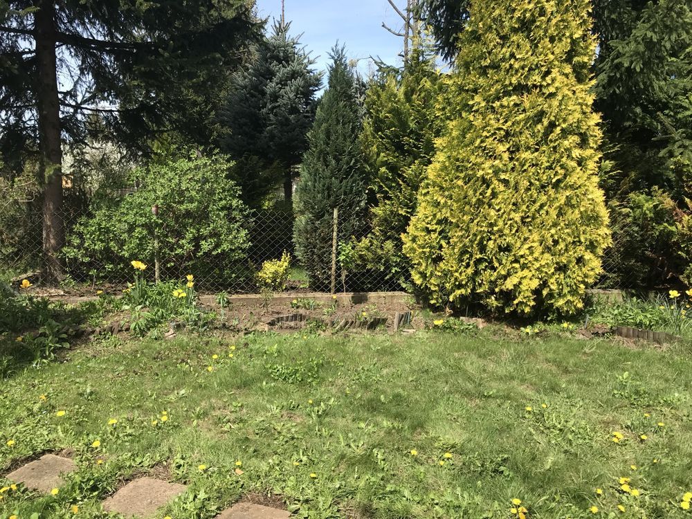 Działka rod Warszawa Targówek, ul. Głębocka. Zdjęcie 2