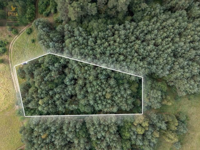 Działka rolna Obrzycko. Zdjęcie 3