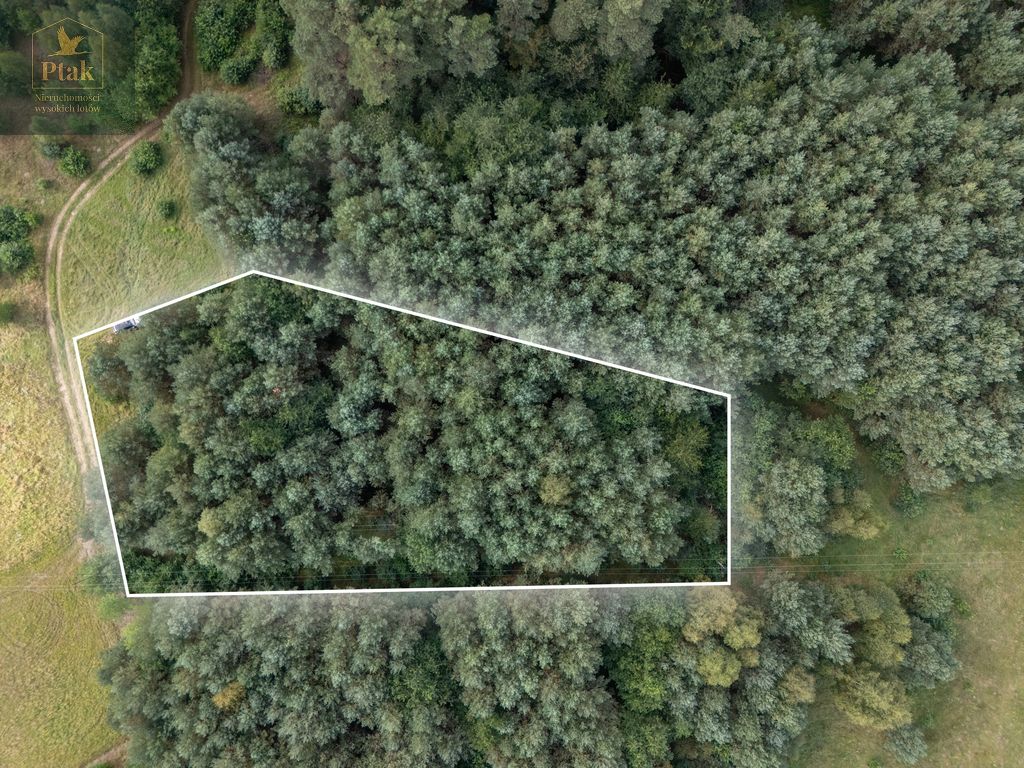 Działka rolna Obrzycko. Zdjęcie 3
