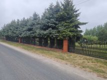Działka budowlana Pokrzywna. Zdjęcie 1