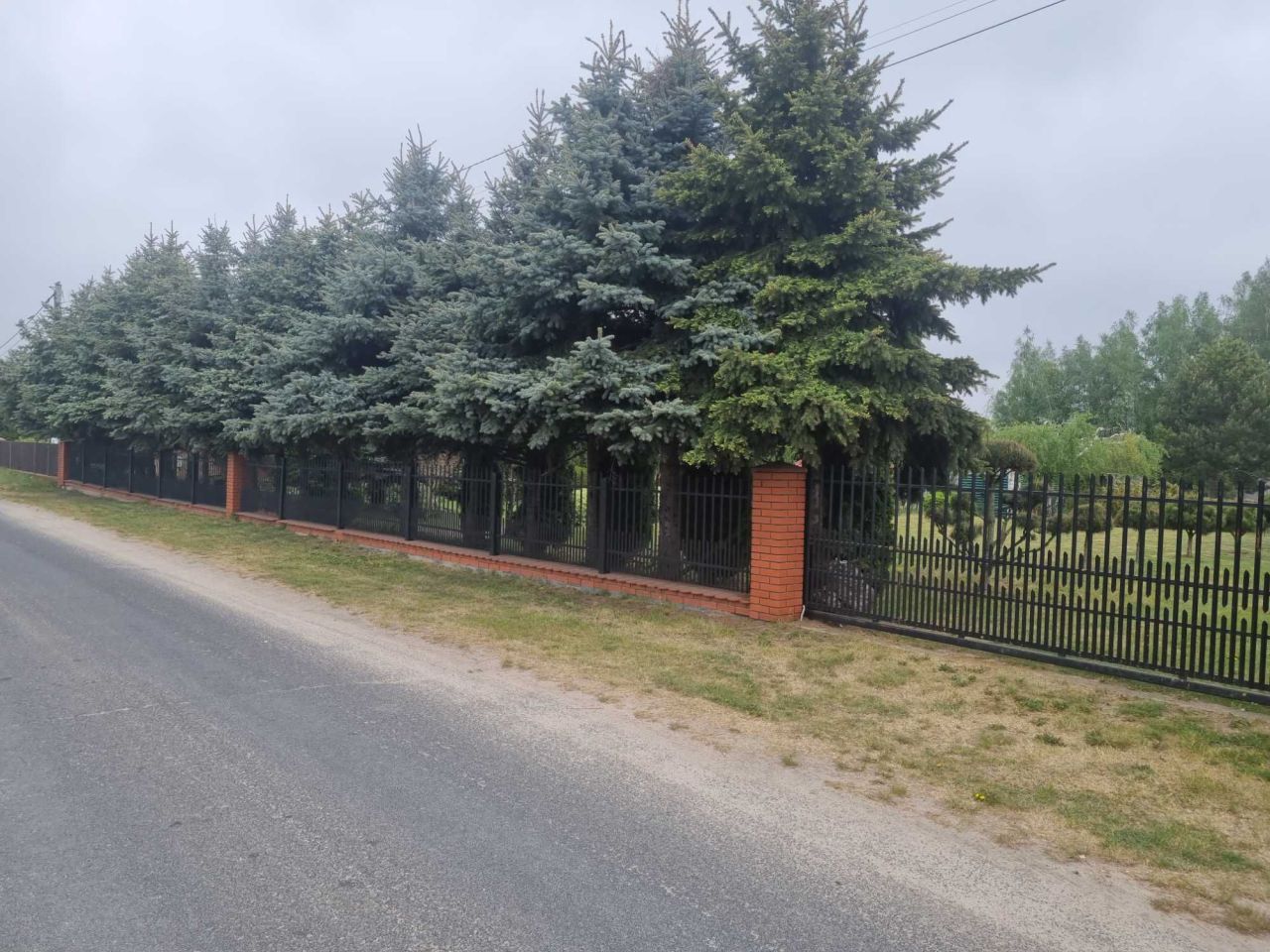 Działka budowlana Pokrzywna. Zdjęcie 2