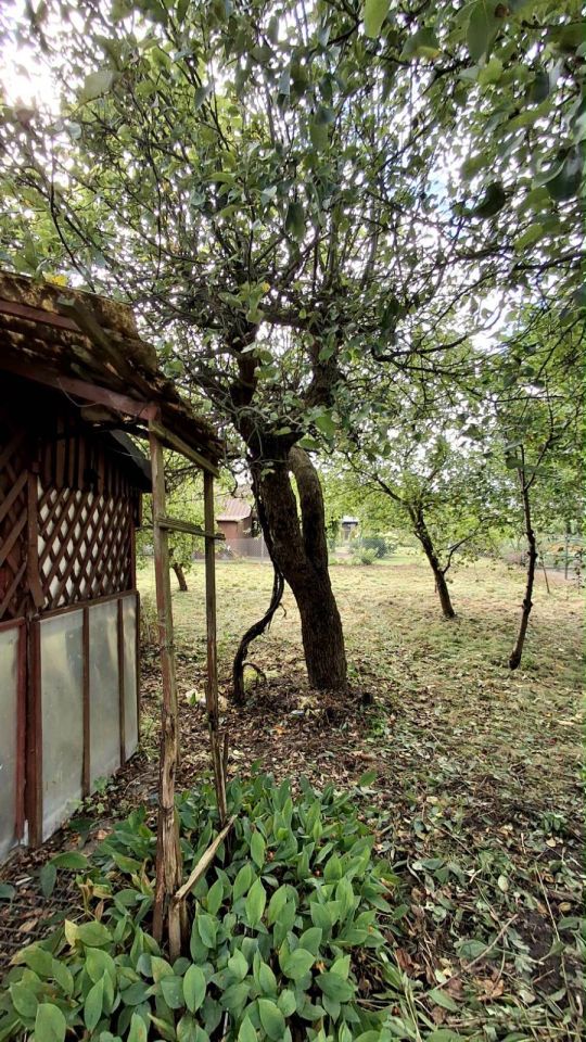 Działka rod Płońsk, ul. Szkolna. Zdjęcie 4