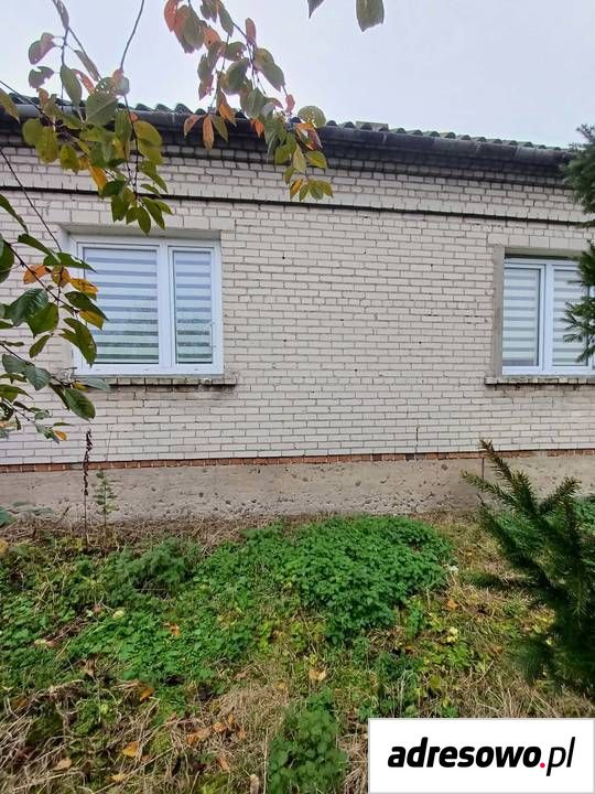 Działka siedliskowa Białuty. Zdjęcie 5