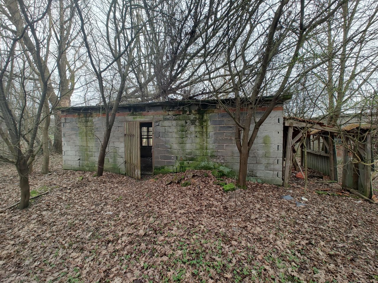 Działka rolno-budowlana Ryszkowa Wola. Zdjęcie 3