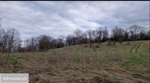 Działka budowlana Lubań, ul. Różana. Zdjęcie 1