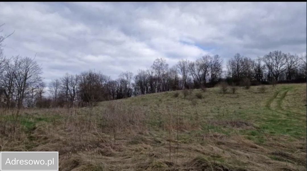 Działka budowlana Lubań, ul. Różana