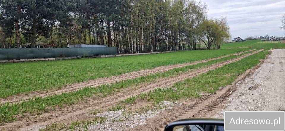 Działka budowlana Czarnożyły. Zdjęcie 5