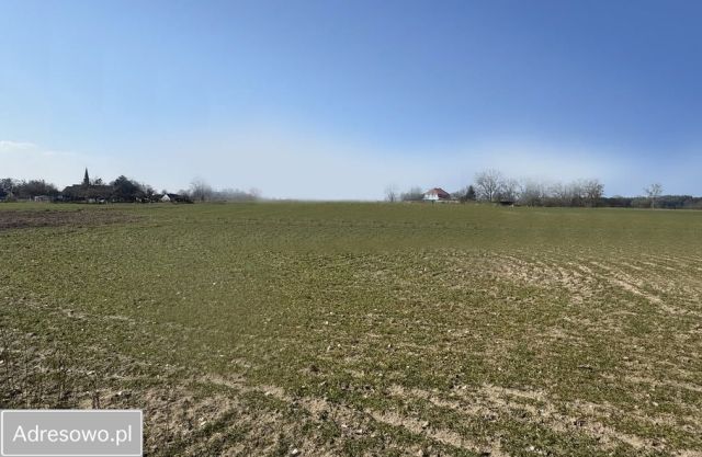 Działka budowlana Żarnowo, ul. Kościelna. Zdjęcie 1