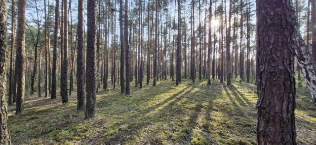 Działka rekreacyjna Osiedle Wilga. Zdjęcie 2
