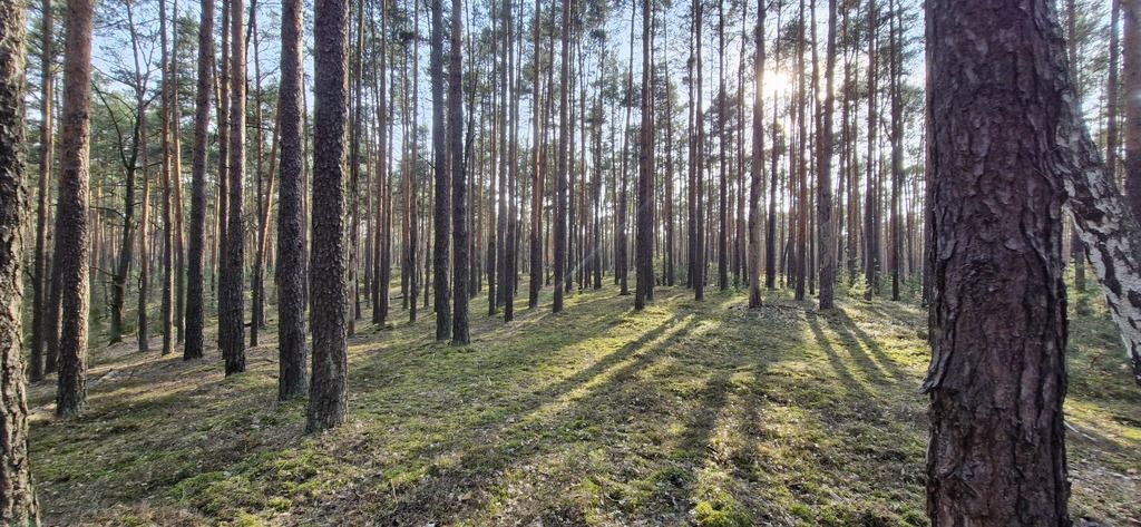 Działka siedliskowa Osiedle Wilga. Zdjęcie 2