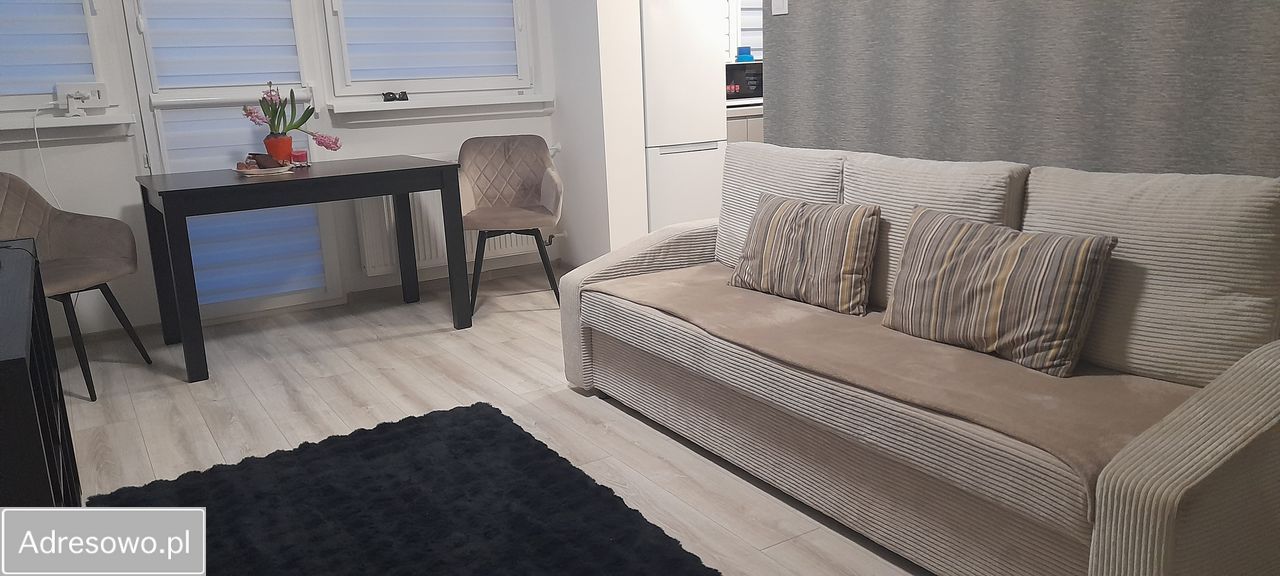 Mieszkanie 1-pokojowe Jelenia Góra Centrum, ul. Ptasia. Zdjęcie 12