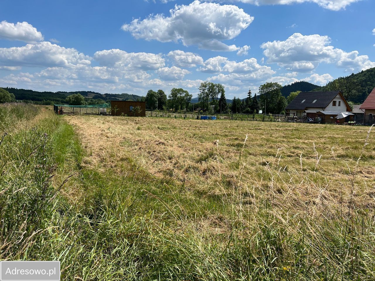 Działka rolno-budowlana Szarocin. Zdjęcie 5