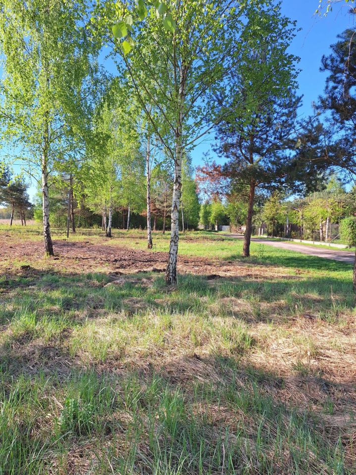 Działka Ślądkowice. Zdjęcie 3