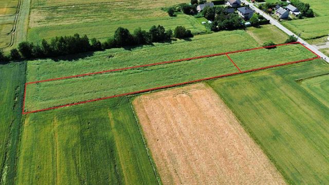 Działka rolno-budowlana Miechówka. Zdjęcie 1