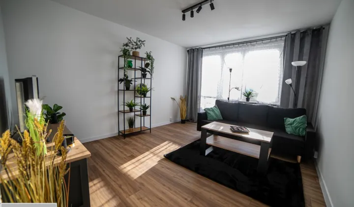 Mieszkanie 2-pokojowe Biłgoraj, ul. Nadstawna