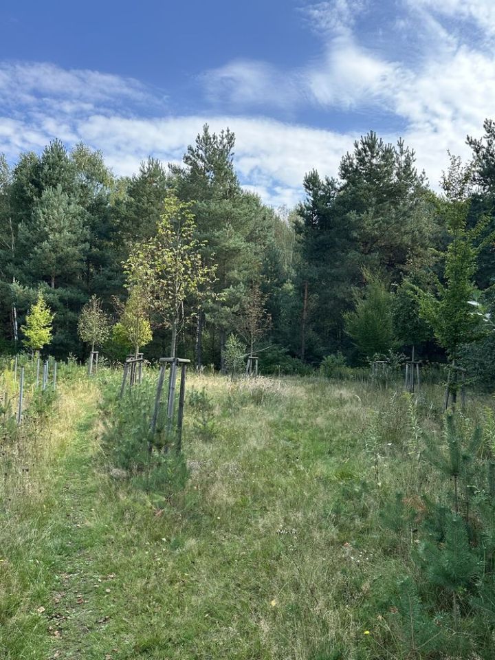 Działka rolna Częstochowa Kiedrzyn, ul. Zakopiańska. Zdjęcie 6