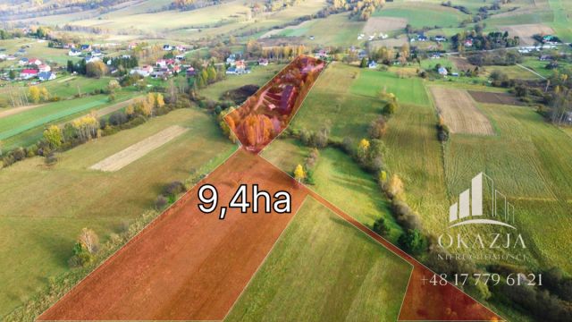 Lokal Równia. Zdjęcie 21