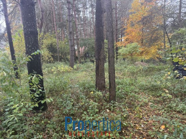 dom wolnostojący, 3 pokoje Natać Wielka. Zdjęcie 16