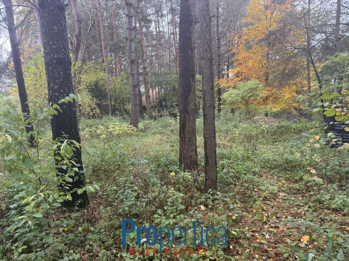 dom wolnostojący, 3 pokoje Natać Wielka. Zdjęcie 16