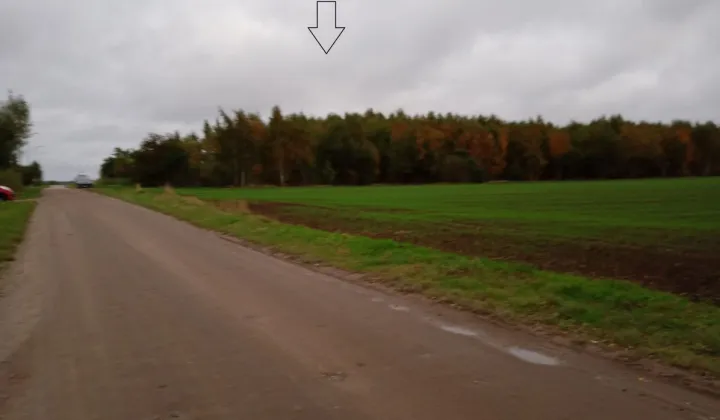 Działka budowlana Kobylnica, ul. Kalinowa