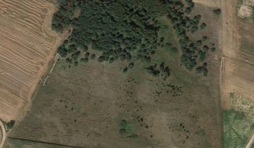 Działka rolna Ludwikowo