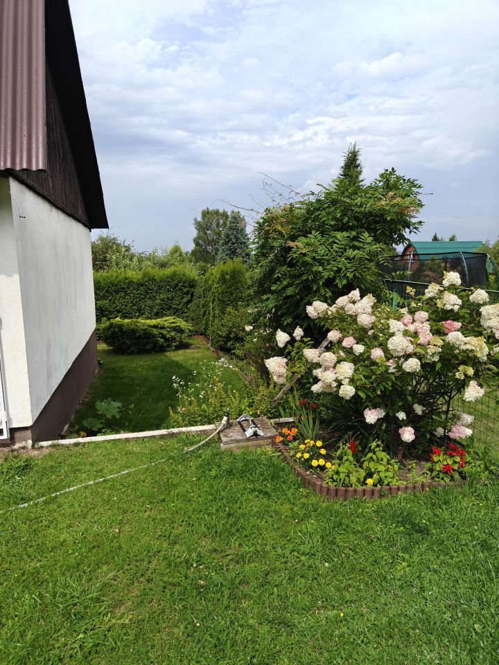 Działka rod Wasilków, Wasilkowska. Zdjęcie 4