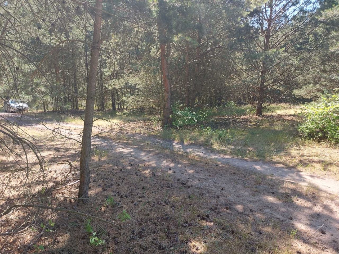 Działka siedliskowa Dąbrowa. Zdjęcie 3