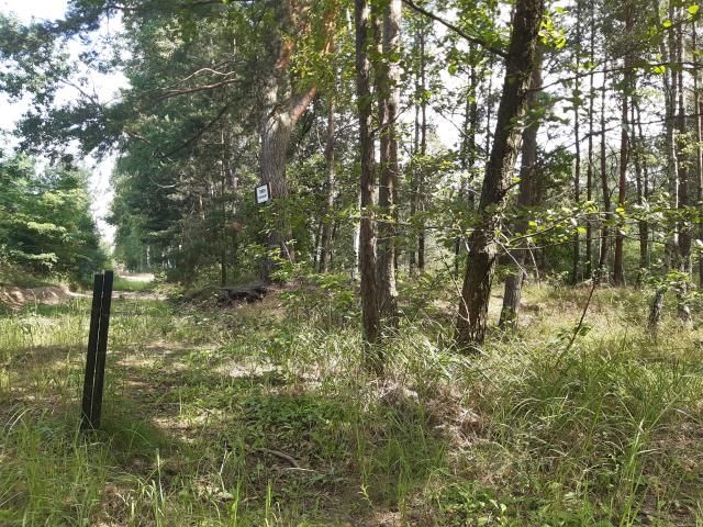 Działka budowlana Klembów. Zdjęcie 2