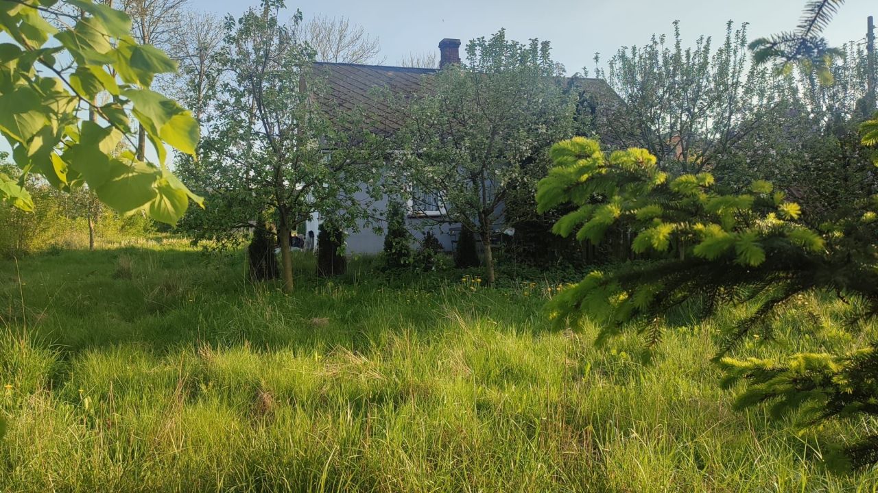 dom wolnostojący Osiny. Zdjęcie 3