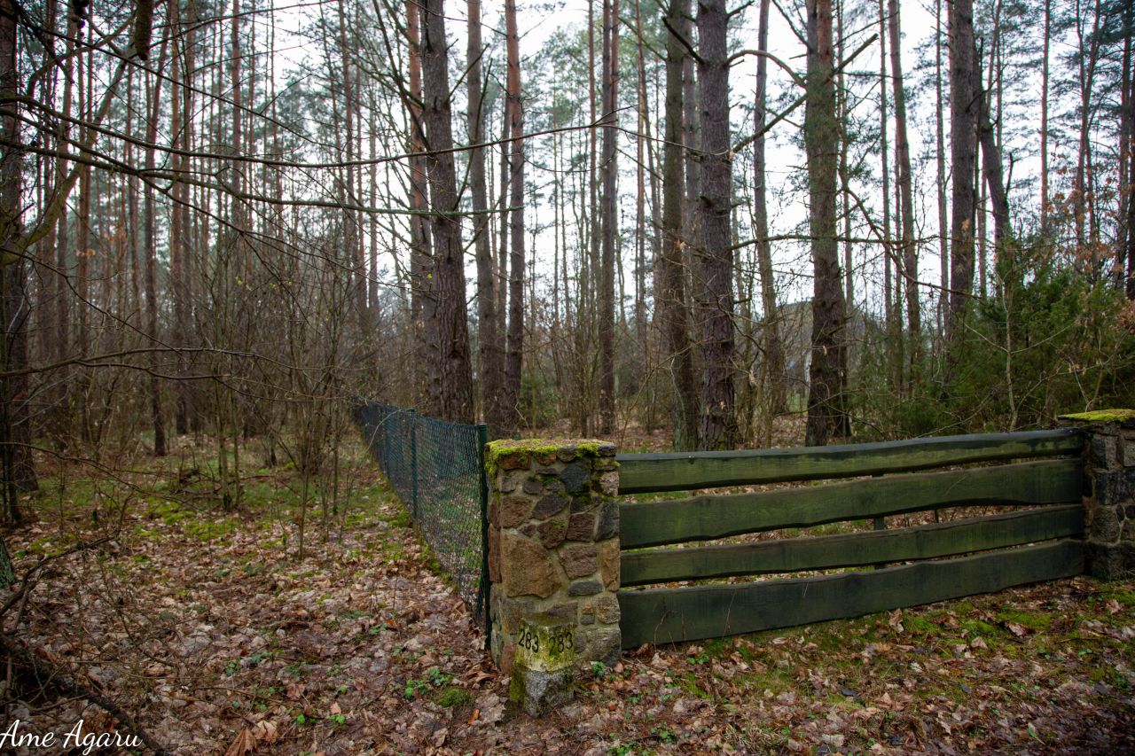 Działka budowlana Marózek. Zdjęcie 11