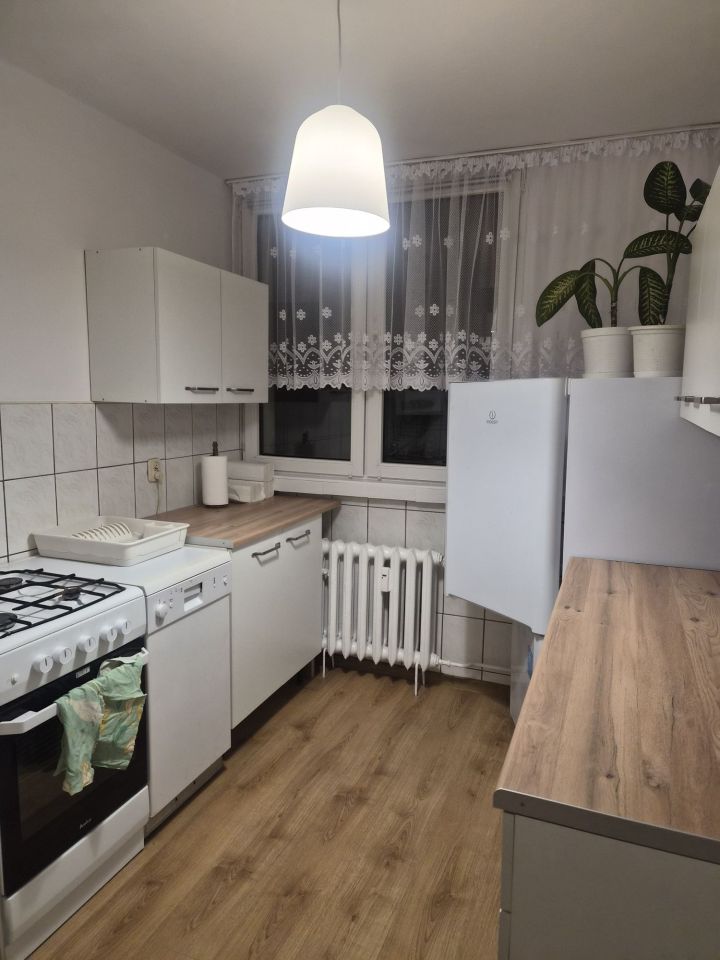Mieszkanie 2-pokojowe Legnica. Zdjęcie 3