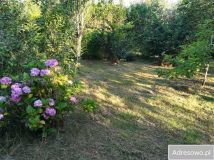 Działka rod Elbląg Krasny Las, ul. Fromborska. Zdjęcie 1