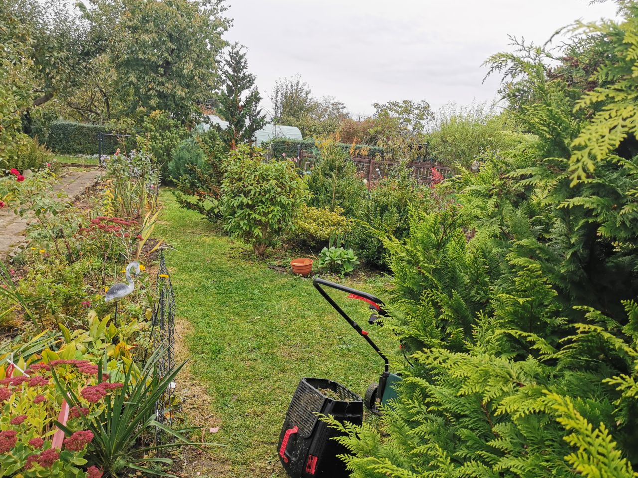 Działka rod Koszalin Podgórze, ul. Sybiraków. Zdjęcie 2