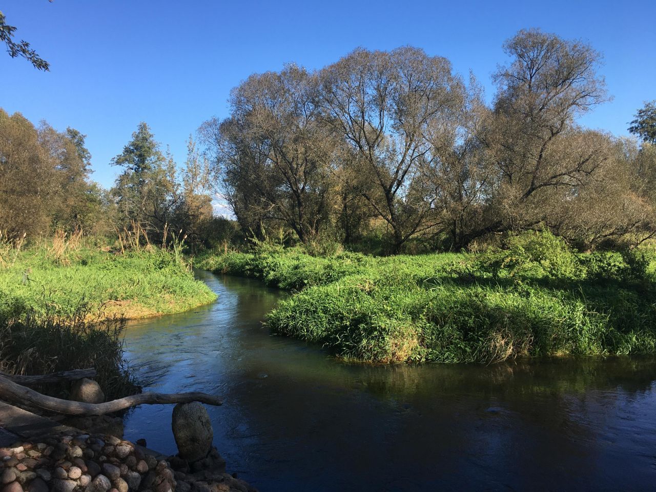 Działka rolna Żdżarki. Zdjęcie 11