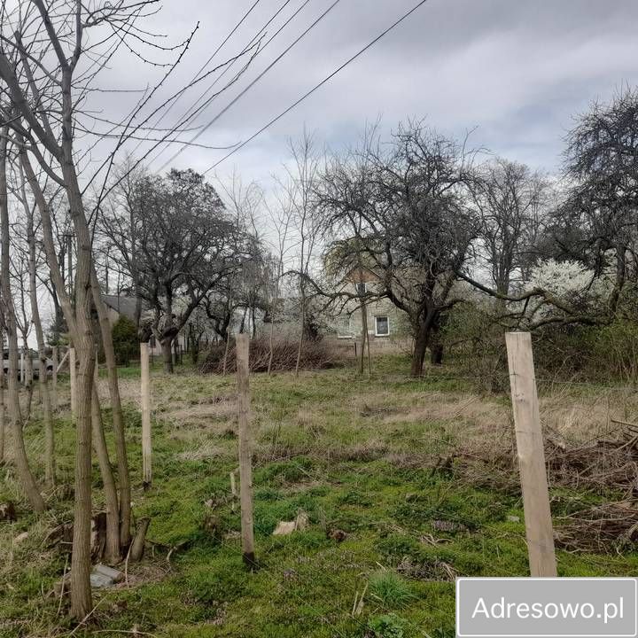 Działka siedliskowa Stare Święcice Nowe Święcice. Zdjęcie 5