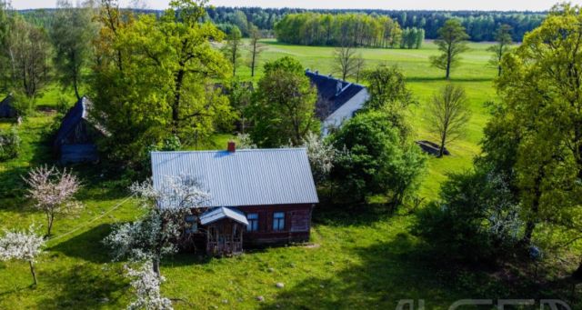 Działka siedliskowa Nowa Pecyna. Zdjęcie 2