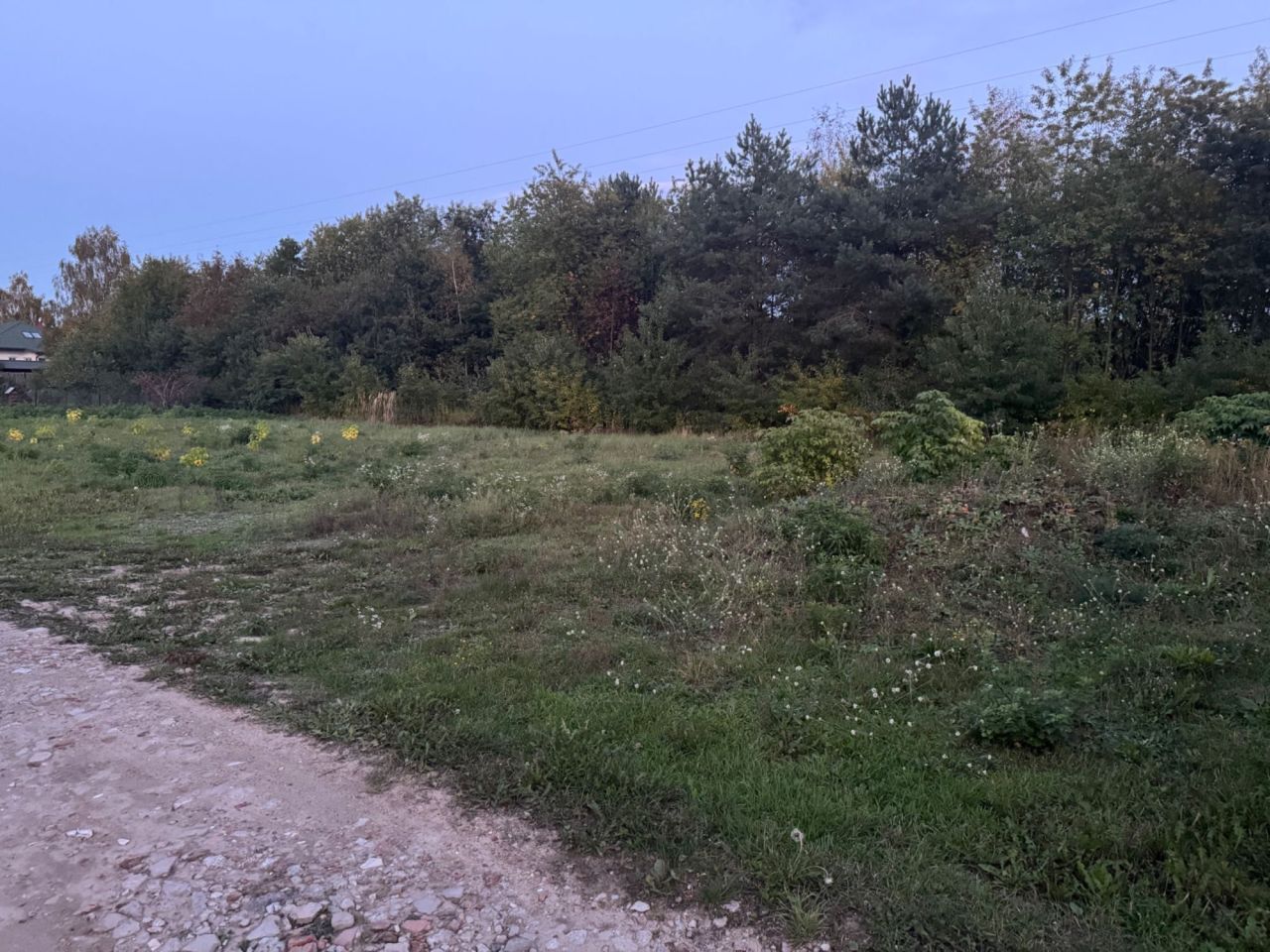 Działka rolno-budowlana Borowa Góra, ul. Dereniowa. Zdjęcie 4