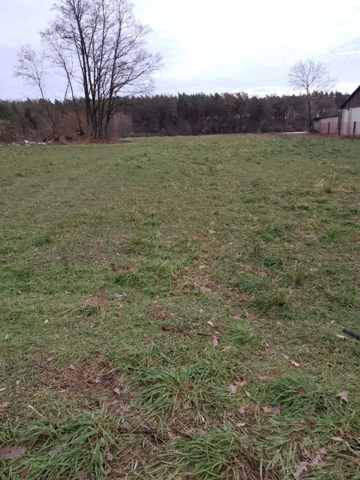 Działka budowlana Grzybów