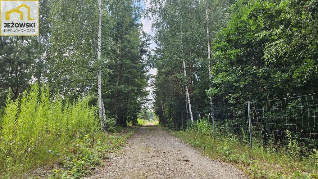 Działka budowlana Kolonia Góra Puławska. Zdjęcie 14