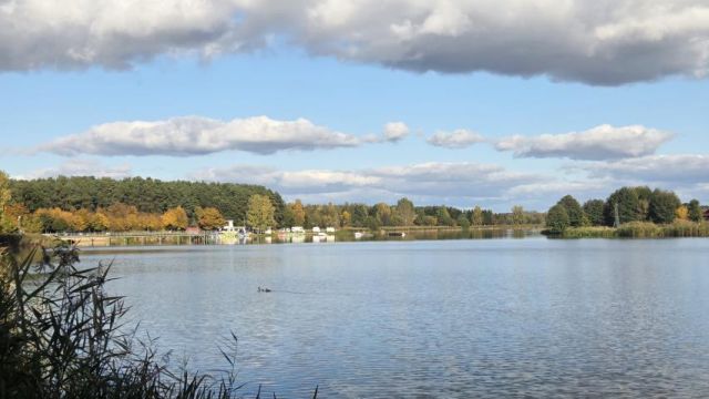 Działka rekreacyjna Nowe Miasto-Folwark. Zdjęcie 1