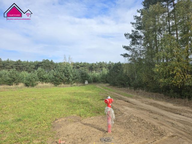 Działka rekreacyjna Adamowo. Zdjęcie 1