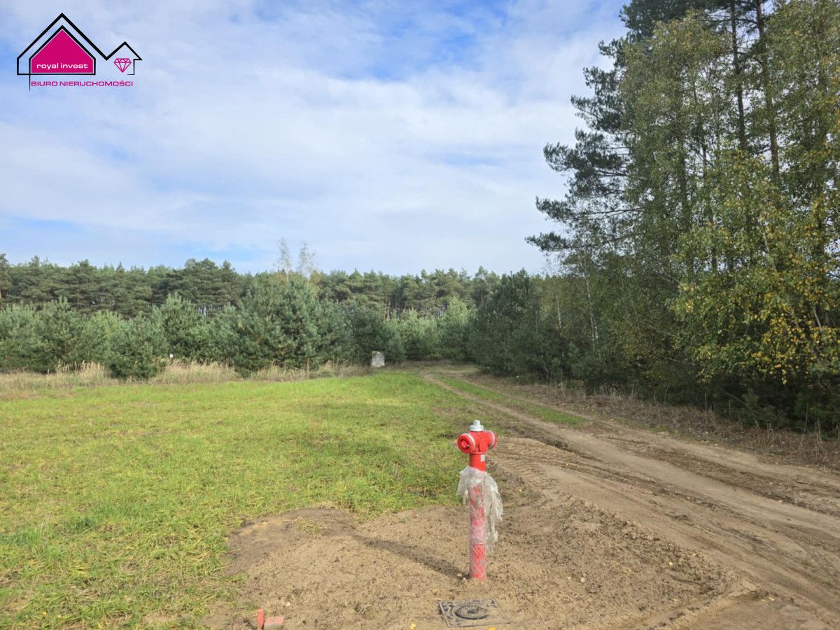 Działka rekreacyjna Adamowo