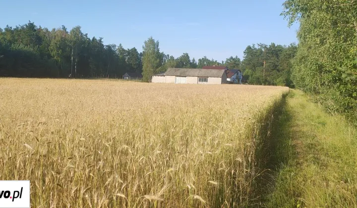 Działka rolno-budowlana Miłkowska Karczma