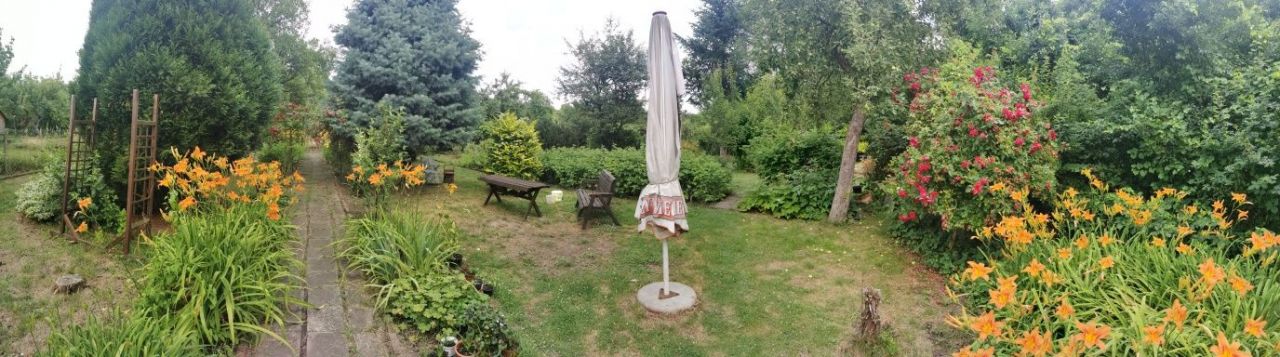 Działka rod Gliwice Trynek, ul. Góry Chełmskiej