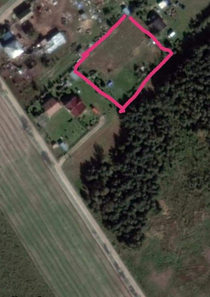 Działka rolno-budowlana Studzianki. Zdjęcie 2