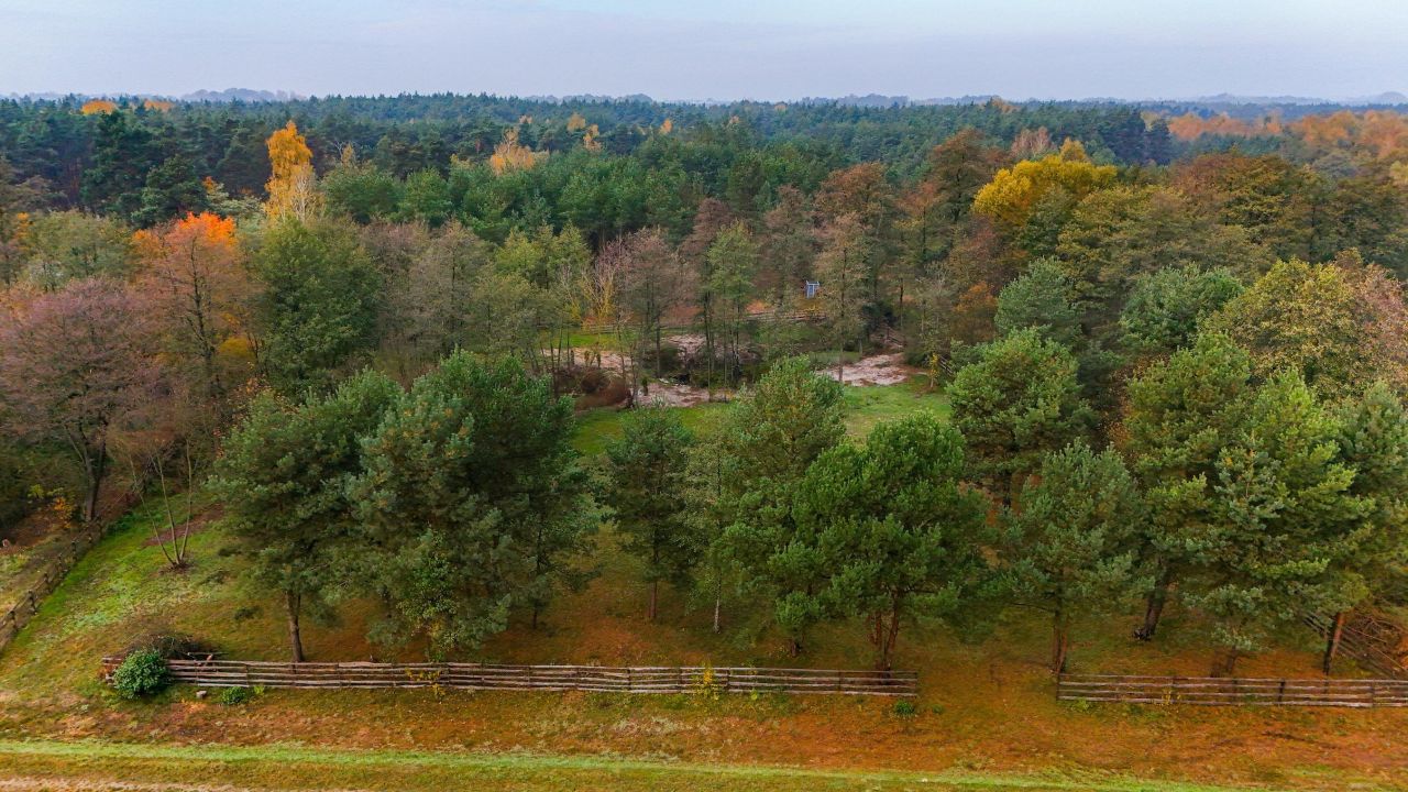 Działka budowlana Niwy Ostrołęckie. Zdjęcie 8