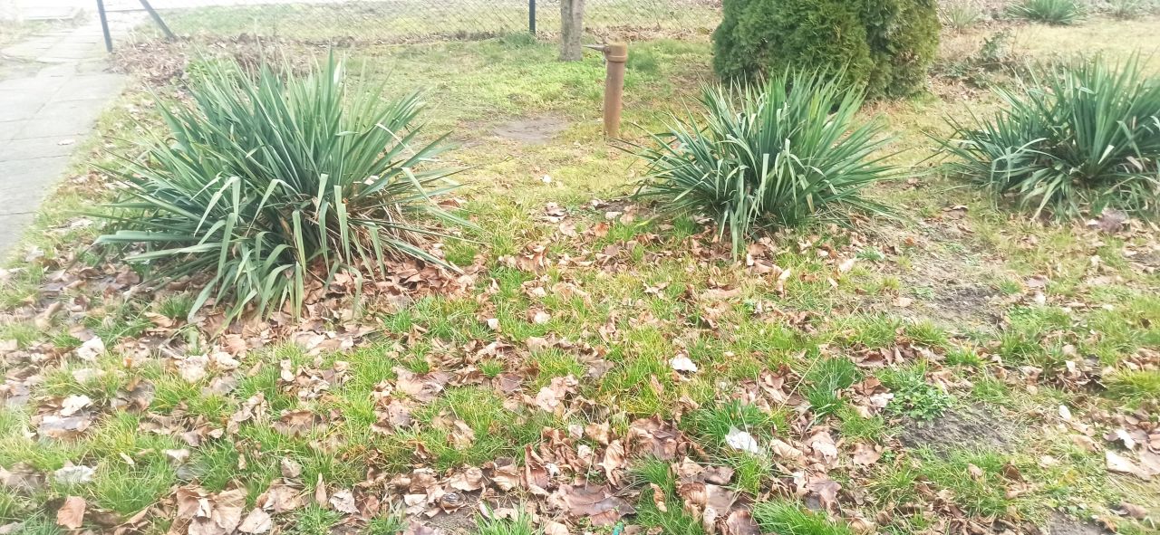 Mieszkanie 2-pokojowe Nowe Witowo. Zdjęcie 16